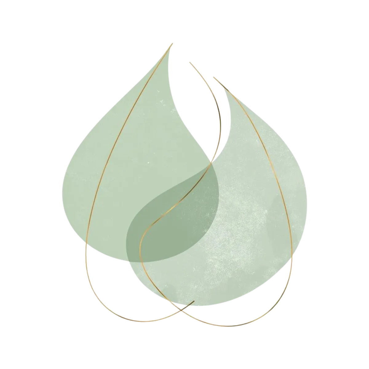 Exploración inicial